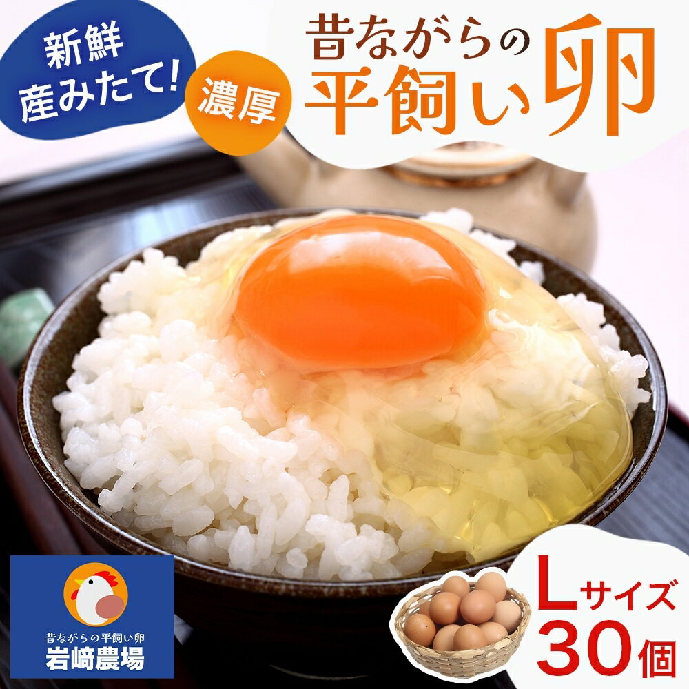 12位! 口コミ数「0件」評価「0」平飼い卵 30個入 Lサイズ　【 鶏卵 食材 卵料理 卵かけごはん お菓子作り 玉子焼き 朝食 ランチ お弁当 夕飯 】