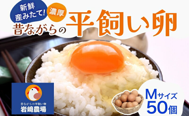 【ふるさと納税】平飼い卵 50個入 Mサイズ　【 鶏卵 食材 卵料理 卵かけごはん お菓子作り 玉子焼き 朝食 ランチ お弁当 夕飯 】