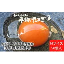 24位! 口コミ数「0件」評価「0」平飼い卵 50個入 Mサイズ　【 鶏卵 食材 卵料理 卵かけごはん お菓子作り 玉子焼き 朝食 ランチ お弁当 夕飯 】