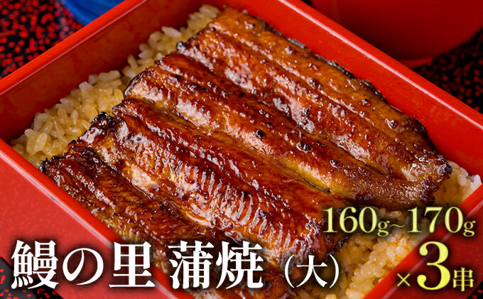 【ふるさと納税】鰻の里 蒲焼（大）　【 日本食 和食 秘伝タレ 新鮮 ふっくら おかず 一品料理 お酒のあて つまみ 】