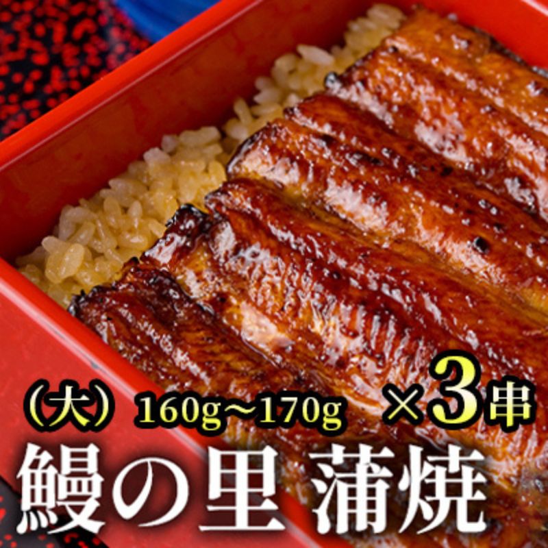 【ふるさと納税】鰻の里 蒲焼（大）　【 日本食 和食 秘伝タレ 新鮮 ふっくら おかず 一品料理 お酒のあて つまみ 】