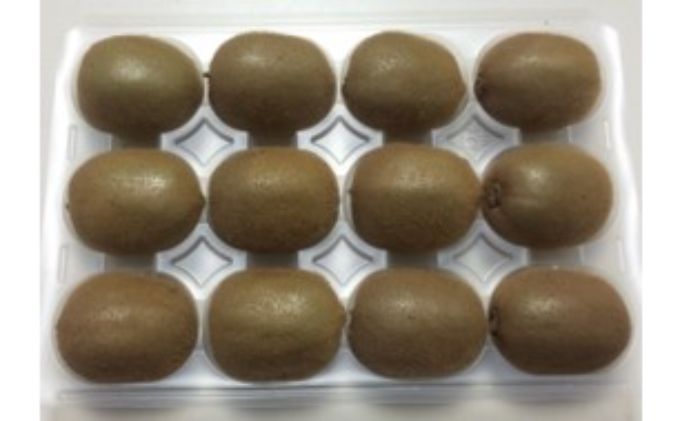 【ふるさと納税】キウイフルーツ贈答用 小箱 L玉12個 果物類 果物 詰合せ セット 　お届け：2025年7月1日まで