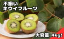 埼玉県蓮田市の画像2