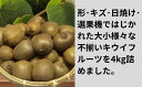 埼玉県蓮田市の画像3