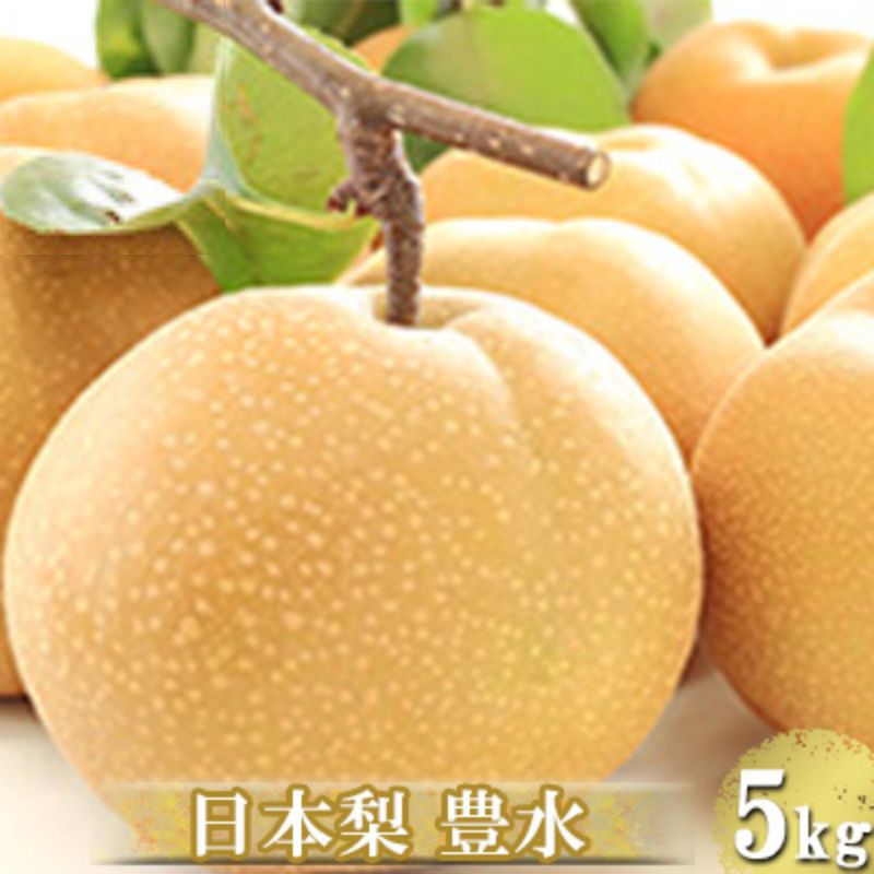 【ふるさと納税】梨 蓮田市産 日本梨 豊水 5kg フルーツ 果物 ナシ なし お取り寄せ 特産品 旬のフルーツ 蓮田市 埼玉県　お届け：2024年9月上旬～9月下旬のサムネイル