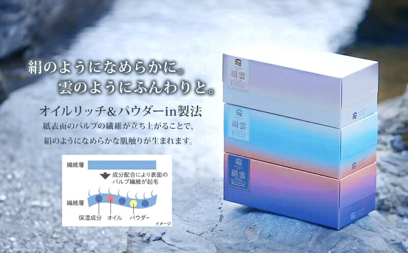 【ふるさと納税】頒布会2回 新保湿ティッシュ 絹雲 ボックスティッシュ 130組( 3枚重ね )×15箱 河野製紙 ピーエイド シルク40ロール やわらかい まとめ買い 備蓄 日用品 常備品 消耗品 大容量 防災 埼玉県 蓮田市