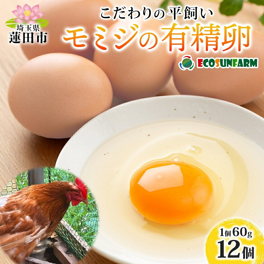 【ふるさと納税】平飼いモミジの有精卵 12個 平飼い 卵 有精卵 もみじ こだわり 国産 鶏卵 赤玉 発酵飼料 濃厚 たまご かけご飯 スイーツ お取り寄せ 産地直送 朝食 エコサンファーム 埼玉県 蓮田市