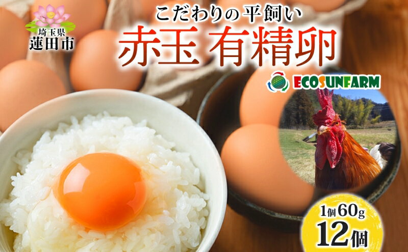 【ふるさと納税】エコサンファーム 平飼い 赤玉有精卵 12個 赤玉 有精卵 こだわり 国産 鶏卵 鶏 発酵飼料 たまご かけご飯 料理 スイーツ お取り寄せ 産地直送 朝食 埼玉県 蓮田市
