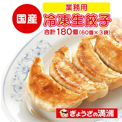 【ふるさと納税】【2025年3月下旬発送】業務用冷凍生餃子3袋(180個)　ぎょうざの満洲【配送不可地域：離島】【6689461】