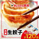 【ふるさと納税】冷凍生餃子10パック(120個) ぎょうざの満洲【配送不可地域:離島】【1238201】