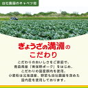 【ふるさと納税】冷凍生餃子10パック(120個)　ぎょうざの満洲【配送不可地域：離島】【1238201】 3