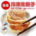 【ふるさと納税】冷凍生餃子10パック(120個)　ぎょうざの満洲【1238201