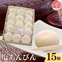 【ふるさと納税】昔なつかし塩あんびん - 餅 もち 塩あんびん 塩味 餡 伝統 おやつ お菓子 お取り寄せ 埼玉県 幸手市【価格変更】