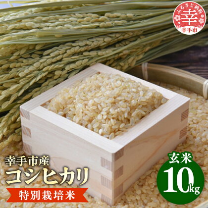 有機肥料100％　埼玉県幸手市産特別栽培コシヒカリ　玄米10kg