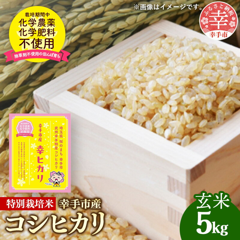 【ふるさと納税】無農薬・無化学肥料...