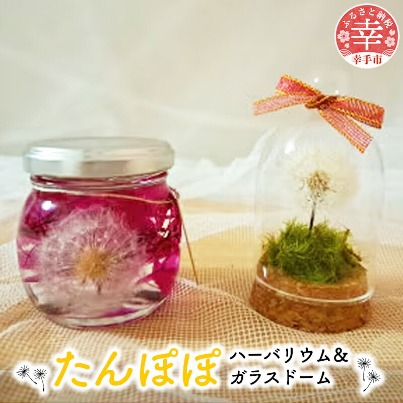 花・観葉植物(ハーバリウム)人気ランク16位　口コミ数「0件」評価「0」「【ふるさと納税】たんぽぽハーバリウム?＆ガラスドーム」