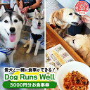 DW004　愛犬を連れてお食事が出来るカフェ「Dog Runs Well」と、愛犬をノーリードで思いっきり遊ばせられる屋外ドッグラン施設「ドッグパーク幸手」 各店舗併設のカフェテリア（ドッグカフェ）にて、飲食注文時にご利用できます。 犬用の手作りおやつを豊富にご用意しています。 ※画像はイメージです。 【場所】 Dog Runs Well：埼玉県幸手市香日向4-15-9 ドッグパーク幸手：埼玉県幸手市幸手3112 事業者　：ドッグランズウェル株式会社 連絡先　：0480-44-2725 商品名 ”愛犬と伴にお食事” 「Dog Runs Well・ドッグパーク幸手店舗」お食事券 商品説明 愛犬を連れてお食事が出来るカフェ「Dog Runs Well」と、愛犬をノーリードで思いっきり遊ばせられる屋外ドッグラン施設「ドッグパーク幸手」 各店舗併設のカフェテリア（ドッグカフェ）にて、飲食注文時にご利用できます。 犬用の手作りおやつを豊富にご用意しています。 内容量 お食事券（1000円×3枚） 場所 Dog Runs Well：埼玉県幸手市香日向4-15-9 ドッグパーク幸手：埼玉県幸手市幸手3112 有効期限 チケット発行日から1年間 発送期日 入金確認後、1週間以内に郵送にて送付いたします。 配送状態 常温 事業者名 ドッグランズウェル株式会社 ・ふるさと納税よくある質問はこちら ・寄付申込みのキャンセル、返礼品の変更・返品はできません。寄付者の都合で返礼品が届けられなかった場合、 返礼品等の再送はいたしません。あらかじめご了承ください。 ・寄付申込みのキャンセル、返礼品の変更・返品はできません。あらかじめご了承ください。「ふるさと納税」寄付金は、下記の事業を推進する資金として活用してまいります。 寄付を希望される皆さまの想いでお選びください。 (1)こどもたちの教育に関する事業 (2)こどもから高齢者までの健康・福祉に関する事業 (3)資源のリサイクルなど環境に関する事業 (4)農業・商業・工業を支援する事業 (5)財政の健全化に関する事業 (6)使途を指定しない 入金確認後、注文内容確認画面の【注文者情報】に記載の住所にお送りいたします。 発送の時期は、寄付確認後2週間以内を目途に、お礼の特産品とは別にお送りいたします。