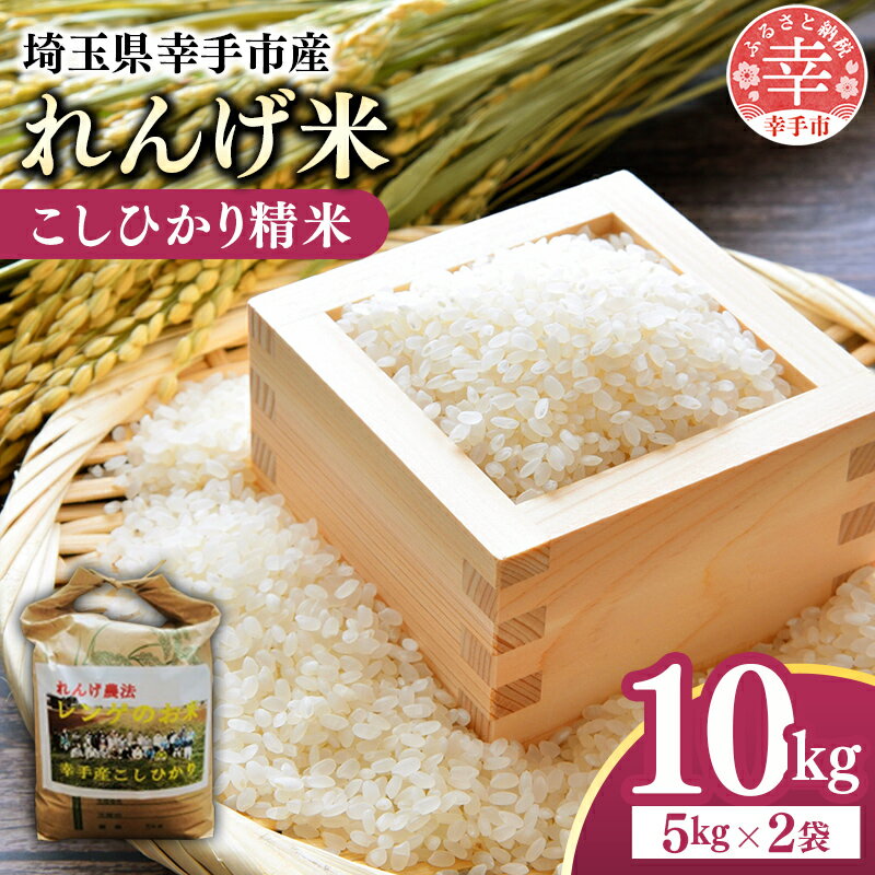 【ふるさと納税】レンゲ米　こしひかり 精米 5kg×2袋 - コシヒカリ 白米 10kg 5kgずつ 2袋 レンゲ農法 れんげ農法 栽培 埼玉県 幸手市 幸手市産のサムネイル