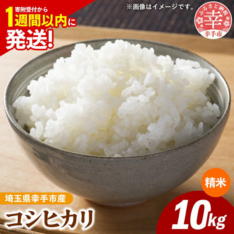 楽天市場】埼玉県 コシヒカリ(米・雑穀|食品)の通販 楽天市場】埼玉県 コシヒカリ(米・雑穀|食品)の通販