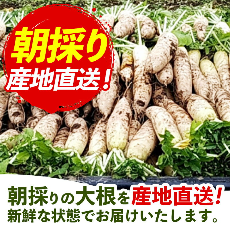 埼玉県幸手市の画像2