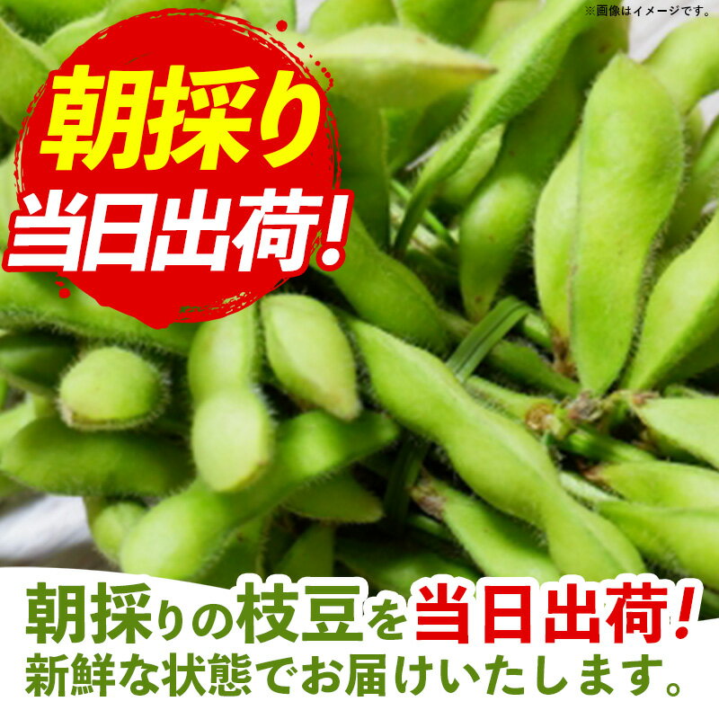 【ふるさと納税】【きあり農園】2026年度 幸手市産 枝豆 1kg - 朝採り えだ豆 エダマメ 産地直送 野菜 ベジタブル 美味しい おいしい 豆 ずんだ おつまみ 晩酌 枝豆ご飯 おすすめ 送料無料 埼玉県 幸手市