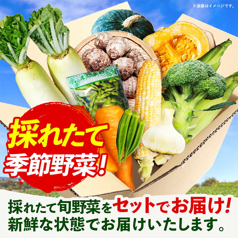 【ふるさと納税】【きあり農園】2026年度 幸手の旬野菜セット - 大根 にんじん ブロッコリー にんにく とうもろこし かぼちゃ オクラ 里芋 旬 詰合せ やさい 国産 産地直送 送料無料 埼玉県 幸手市