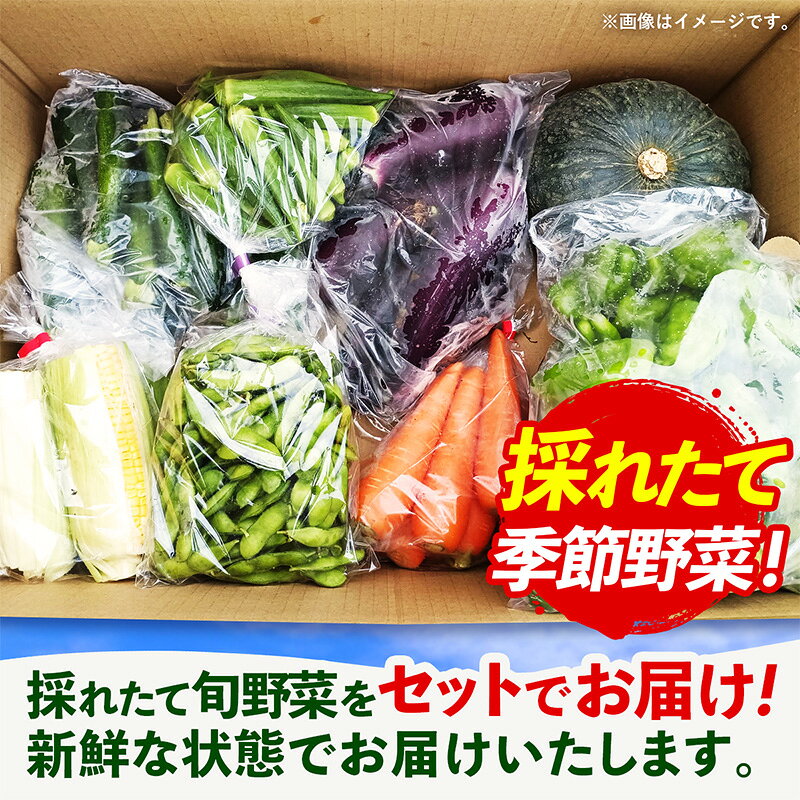 【ふるさと納税】【きあり農園】2026年度 幸手の旬野菜セット - 大根 にんじん ブロッコリー にんにく とうもろこし かぼちゃ オクラ 里芋 旬 詰合せ やさい 国産 産地直送 送料無料 埼玉県 幸手市