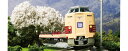 【ふるさと納税】H017-24 Nゲージ 万感の思いを込めて列車は駆ける 381系国鉄色リバイバルやくも 動力付き 