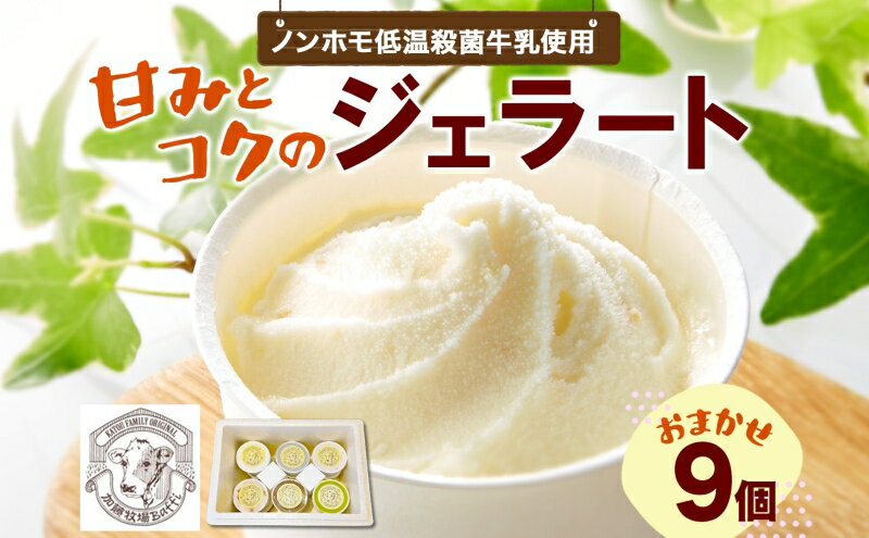 【ふるさと納税】【加藤牧場】ノンホモ低温殺菌牛乳使用 ジェラート 9個入り アイス 氷 夏 暑い 猛暑 フレーバー 濃厚 さっぱり 人気 ご当地 スイーツ お菓子 食後 デザート 氷菓 牛乳 さっぱり コク お取り寄せ 加藤牧場 埼玉県 日高市