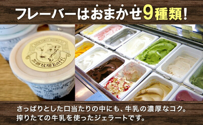 【ふるさと納税】【加藤牧場】ノンホモ低温殺菌牛乳使用 ジェラート 9個入り アイス 氷 夏 暑い 猛暑 フレーバー 濃厚 さっぱり 人気 ご当地 スイーツ お菓子 食後 デザート 氷菓 牛乳 さっぱり コク お取り寄せ 加藤牧場 埼玉県 日高市