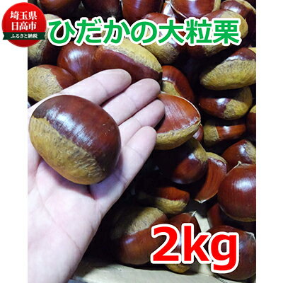 【ふるさと納税】ひだかの大粒栗　2kg　【 秋の味覚 マロン 埼玉県産 日高市産 生栗 栗ご飯 栗きんとん 食べごたえ 2L 渋皮煮 甘露煮 モンブラン 食材 お菓子作り 材料 】　お届け：2022年9月下旬～10月上旬のサムネイル