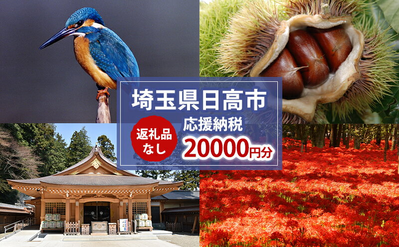 【ふるさと納税】【返礼品無し】日高市応援ふるさと納税　20,000円分