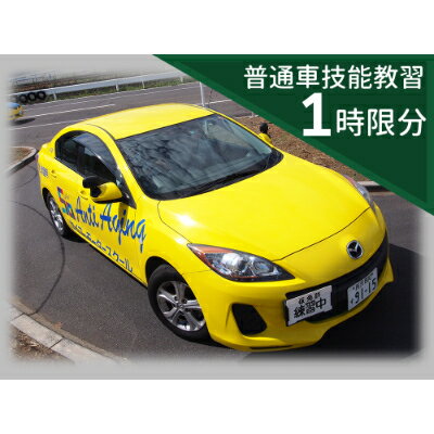 【ふるさと納税】普通車 技能教習チケット(1時限分)【1232466】