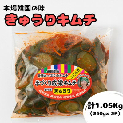 【ふるさと納税】本場韓国の味!全て手作り本格きゅうりキムチ 計1.05kg(350g×3パック)【配送不可地域:離島】【1467677】