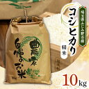 【ふるさと納税】【新米】コシヒカリ 10kg 精米【埼玉県ふじみ野市産】【1506706】