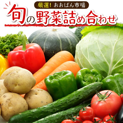 厳選・「おおばん市場」旬の野菜詰め合わせ　【11246-0038】