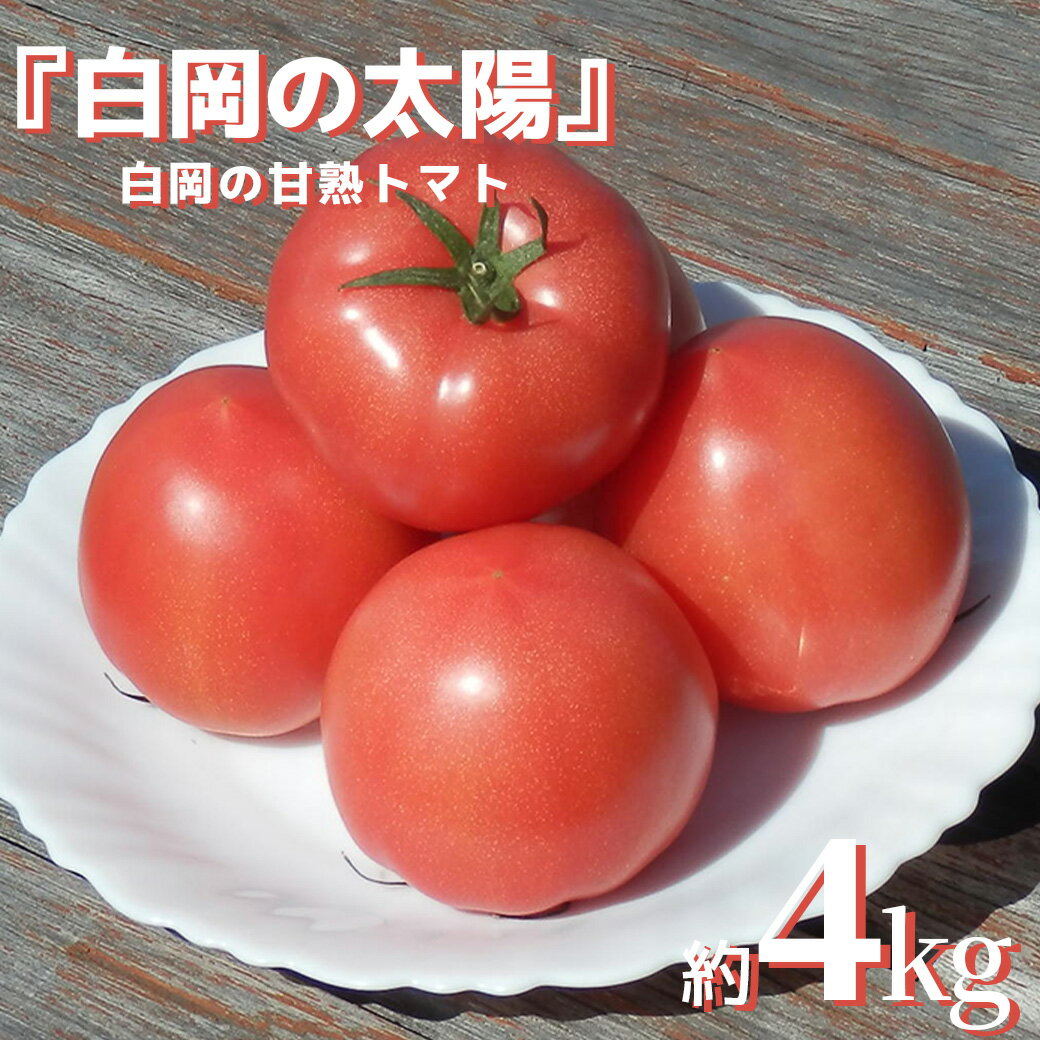 【ふるさと納税】甘熟トマト『白岡の太陽』約4kg 【11246-0123】