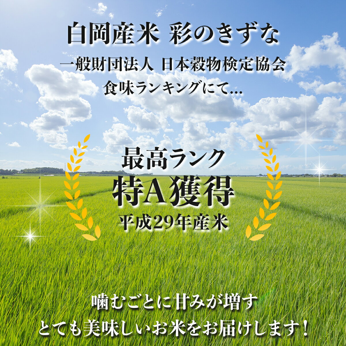【ふるさと納税】＜令和6年産＞特別栽培米　彩のきずな　5kg×1袋 【11246-0107】 お米 送料無料 埼玉県 白岡市 白米 彩のきずな 白岡そだち 白岡産 しらおか味彩センター 29年特A認定品種