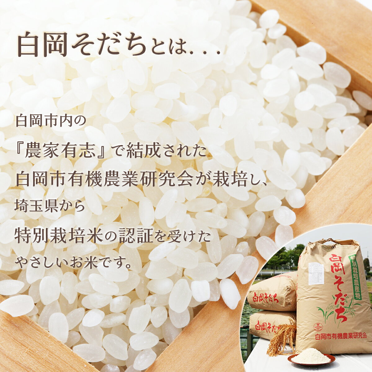 【ふるさと納税】＜令和6年産＞特別栽培米　コシヒカリ　5kg　【11246-0108】 お米 送料無料 埼玉県 白岡市 白米 こしひかり 白岡そだち 白岡産