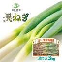 【ふるさと納税】【3ヶ月連続お届け】関田農園の「厳選 長ねぎ(泥付き)」箱3kg×3回 美味しい定期便 【11246-0111】