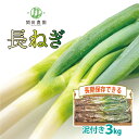 【ふるさと納税】関田農園の「厳選 長ねぎ(泥付き)」箱3kg 【11246-0114】