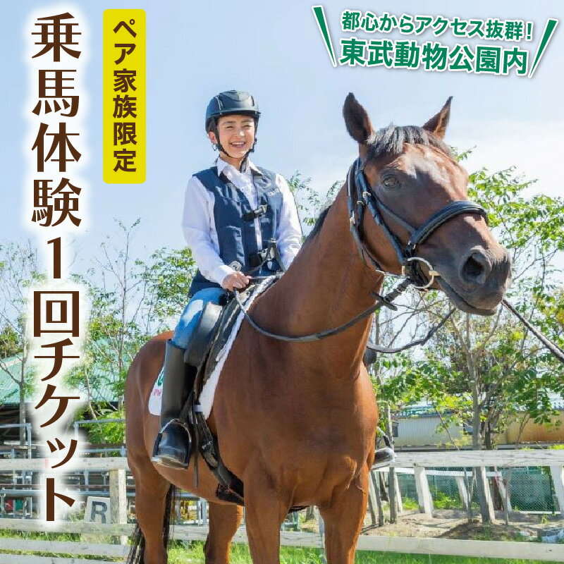 【ふるさと納税】乗馬体験1回コース東武動物公園内 東武乗馬クラブ＆クレイン初心者 ビジター 大人 子供 シニア レッスン アウトドア スポーツ 日帰り旅行 レジャー チケット 招待券 埼玉県 白岡市 送料無料【11246-0206】