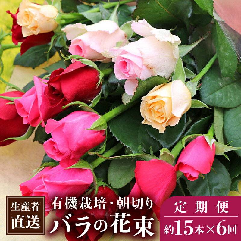 【ふるさと納税】【約15本×6カ月】生産者直送　有機栽培で育った朝切りバラの花束(赤・ピンク・黄色の...