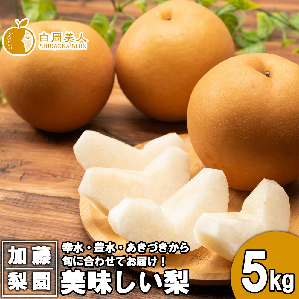 【ふるさと納税】【先行予約】加藤梨園の美味しい梨 約5kg 幸水・豊水・あきづき 【2025年8月上旬より発送】【11246-0184】