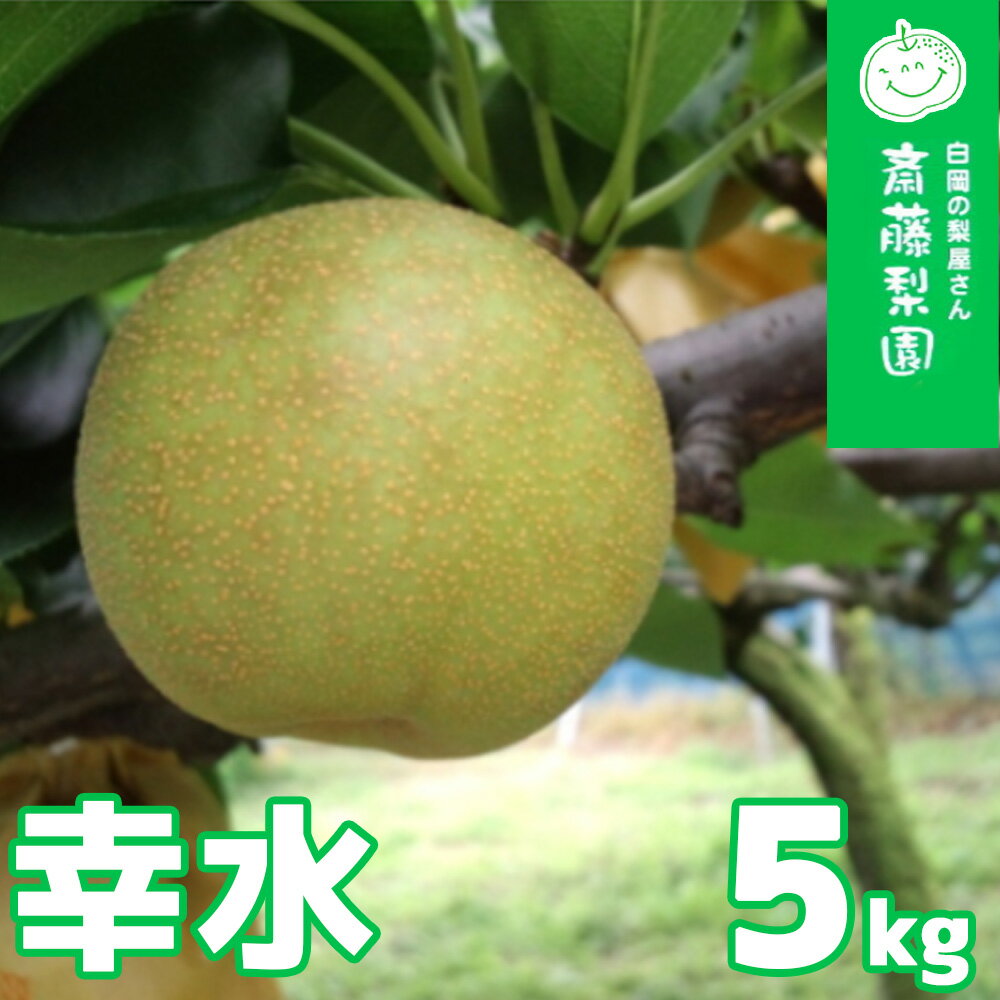 【ふるさと納税】【先行予約】白岡・下野田 斎藤さんちの美味しい梨 幸水 約5kg 【2025年8月中旬より発送】【11246-0055】