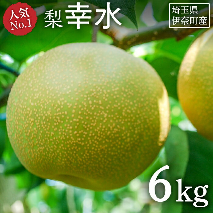 【ふるさと納税】梨『幸水』 6kg 　2023年産先行予約 フルーツ 埼玉県伊奈町産のサムネイル