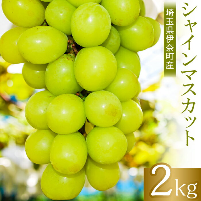 【数量限定！】種がなく皮ごと食べられて大人気の「シャインマスカット」。 酸味がなく、パリッとした食感で食べた瞬間に口の中に甘さとジューシーさが広がります。 皮をむく必要がないので、ぶどうの美味しいところを余すところなく食べることができる人気品種。 通常は地元の直売店舗のみで販売していますが、ふるさと納税では特別に、数量限定で受付します！ 商品説明 名称 シャインマスカット 容量 2kg 発送区分 冷蔵 発送時期 2024年9月中旬頃より順次出荷致します。（生育状況により多少前後することがございます。あらかじめご了承ください） 配送備考 生鮮食品のため、お受け取りができないことが続きますと返送されてしまう可能性があります。該当期間に受取不可の日にちがございましたら、備考欄へご記載いただけますようお願い申し上げます。また、時間指定がございましたら、必ずチェックをお願いします。尚、配送できずお礼の品が返送された場合は、再送いたしかねますのでご了承下さい。 提供事業者 山岸農園 ・ふるさと納税よくある質問はこちら ・寄付申込みのキャンセル、返礼品の変更・返品はできません。あらかじめご了承ください。" 地場産品に該当する理由：1 町内業者にて生産 " 「ふるさと納税」寄附金は、下記の事業を推進する資金として活用してまいります。 寄附を希望される皆さまの想いでお選びください。 (1)健康で長生きなまち (2)子育て世帯に優しいまち (3)子どもが安心して学習できるまち (4)バラのまちづくりで伊奈町をPR (5)伊奈備前守忠次公による観光のまち (6)国際色豊かで多様性のあるまち (7)町長におまかせ 特段のご希望がなければ、町政全般に活用いたします。 入金確認後、注文内容確認画面の【注文者情報】に記載の住所にお送りいたします。 発送の時期は、寄附確認後1か月以内を目途に、お礼の特産品とは別にお送りいたします。 "