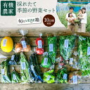 有機農家の採れたて季節野菜のセット［旬のvege箱］