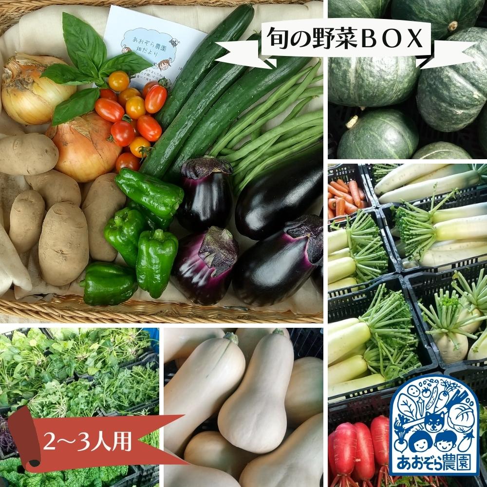 毎日の食卓に季節の野菜 「あおぞら農園」の旬の野菜BOX 2〜3人用 7〜10種類