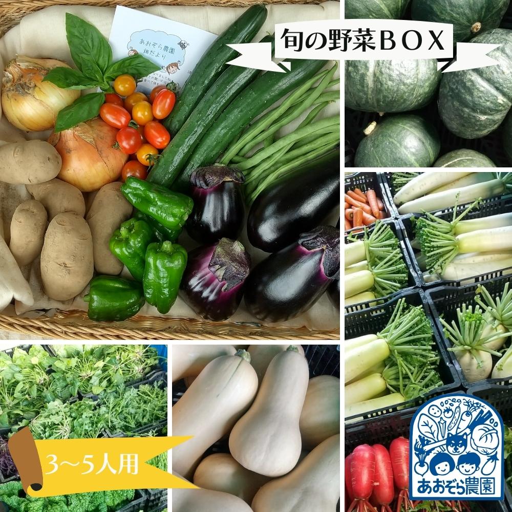 毎日の食卓に季節の野菜 「あおぞら農園」の旬の野菜BOX 3〜5人用 10〜15種類